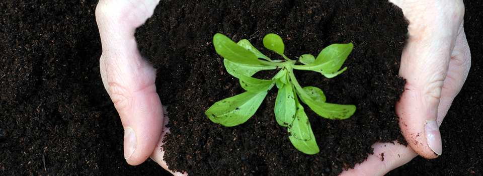 Die Idee des Lighthouse Clubs