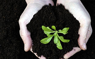 Der erste Club in Deutschland